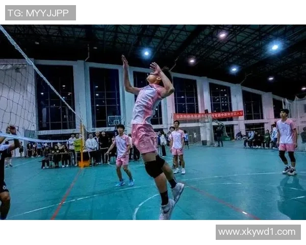 上海排球队的拼搏之路精英赛背后的奋斗与荣耀